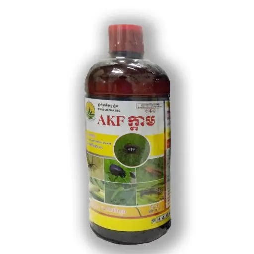 AKF ក្តាម